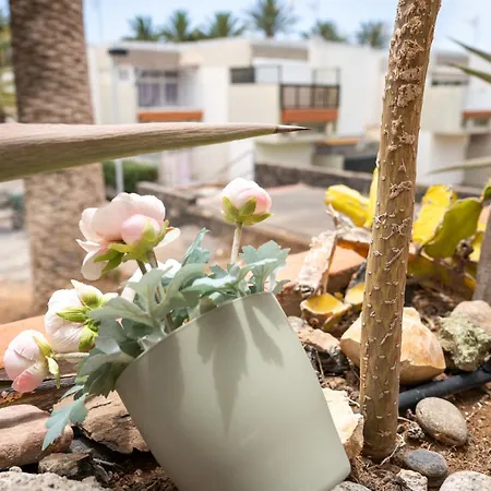 Casa Alejandro Wifi & Pool & 24h Security *