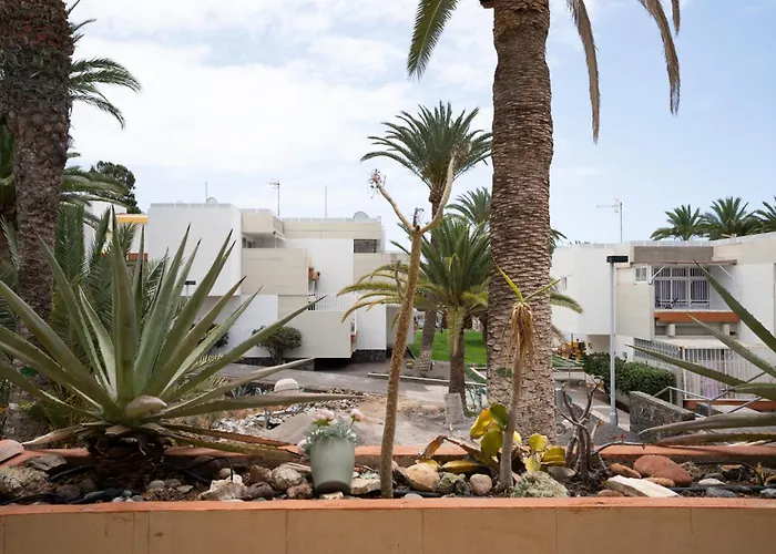 公寓 Casa Alejandro Wifi & Pool & 24h Security 阿罗纳