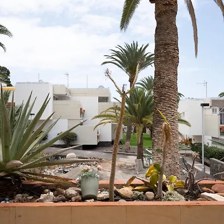 Apartamento Alejandro Pool Terrace And Full Kitchen Arona (Tenerife)
