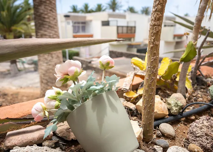 Casa Alejandro Wifi & Pool & 24h Security *